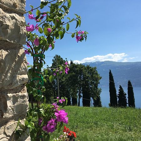 Agriturismo Casa Del Castagneto غارنانو المظهر الخارجي الصورة