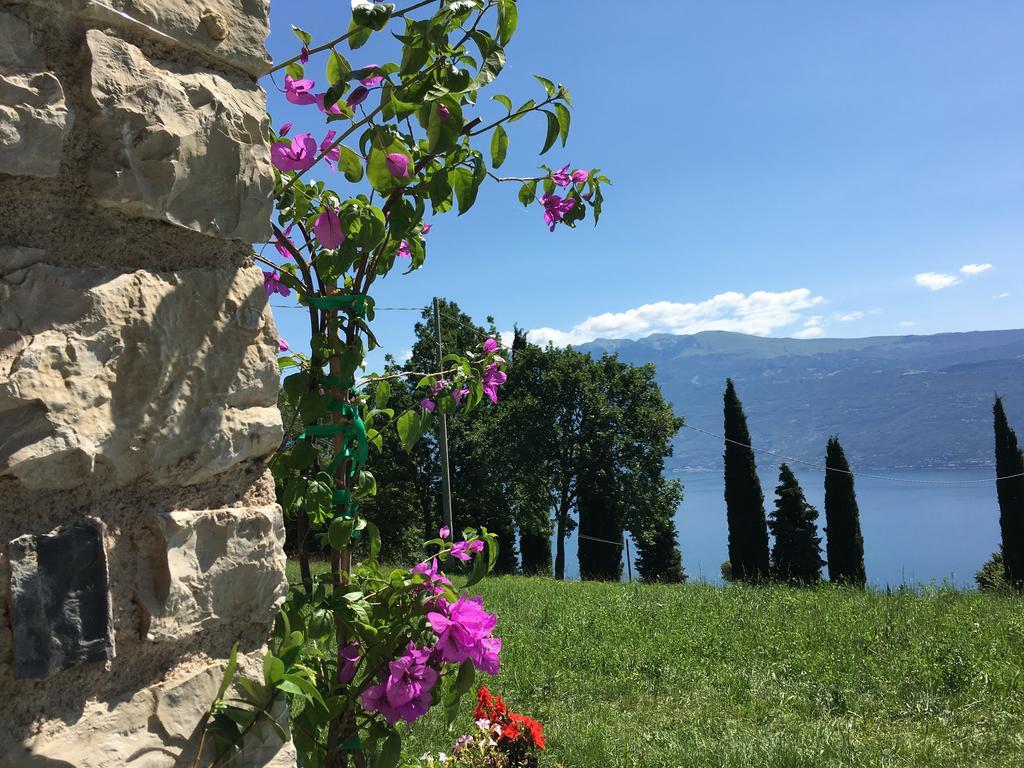 Agriturismo Casa Del Castagneto غارنانو المظهر الخارجي الصورة