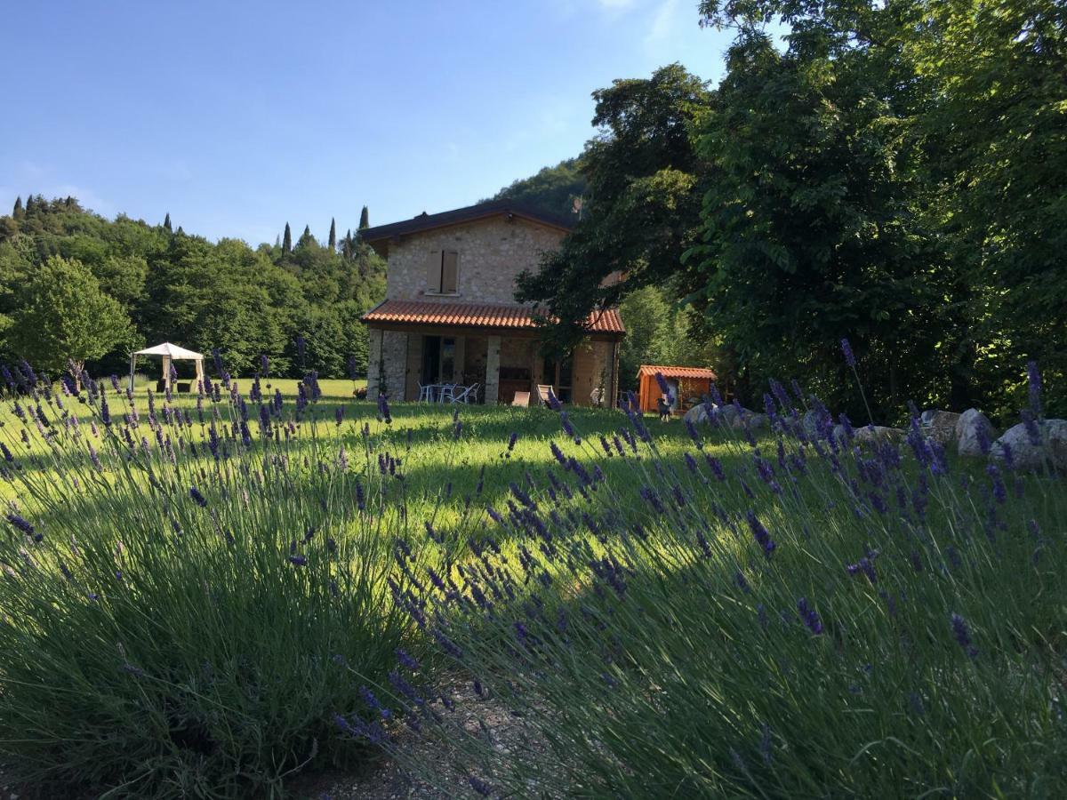 Agriturismo Casa Del Castagneto غارنانو المظهر الخارجي الصورة